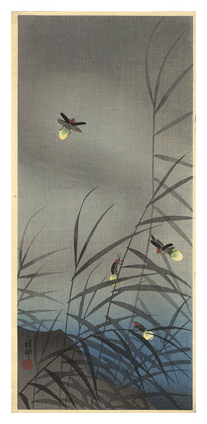 小原古邨（祥邨）「蛍」