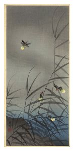 小原古邨（祥邨）「蛍」