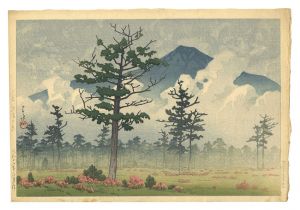 Senjogahara, Nikko