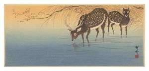 つがいの鹿