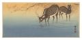 Pair of Deer
