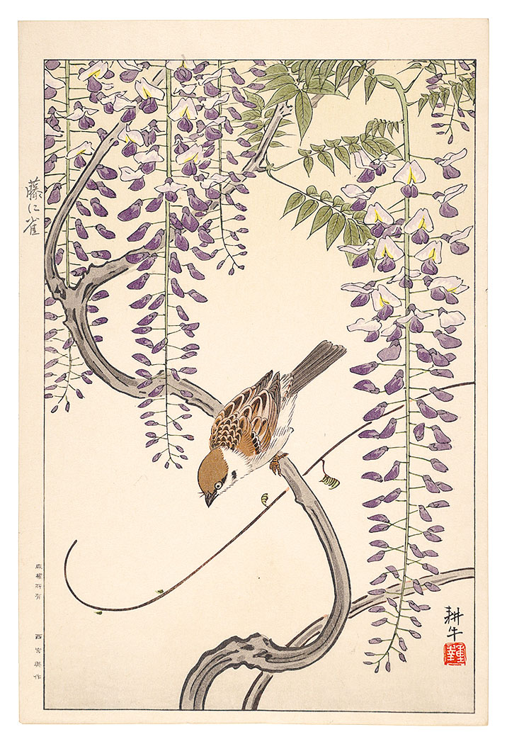 Ono Shigeyuki “Sparrow and Wisteria”
