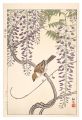 Sparrow and Wisteria