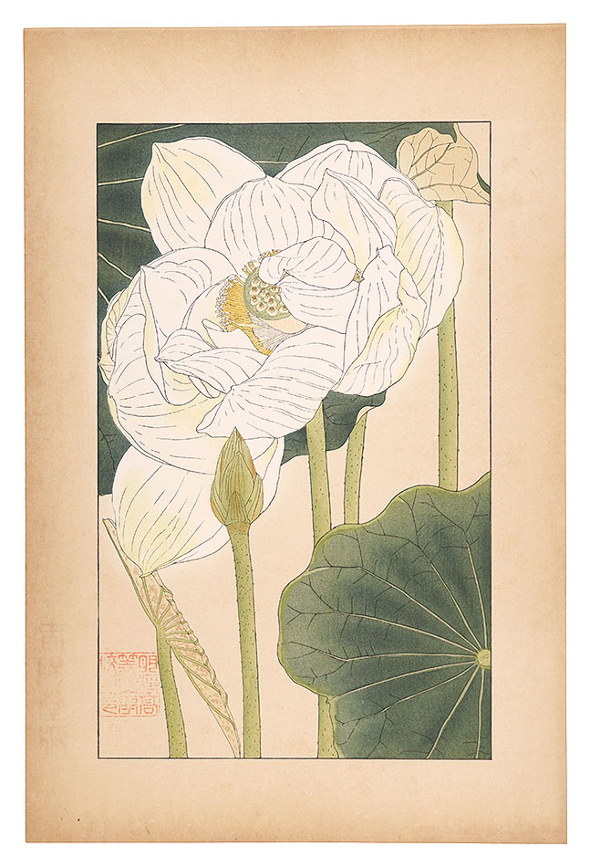 Sugiura Hisui “Lotus”
