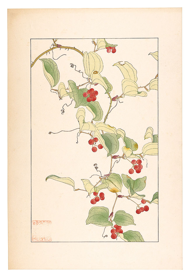 Sugiura Hisui “China Root”