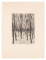 Miscellaneous Trees