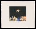 Flower of the Shell