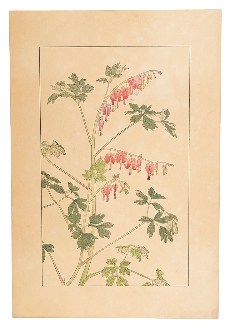 Sugiura Hisui “Bleeding heart”