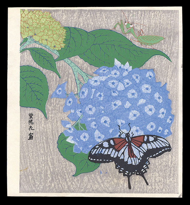徳力富吉郎「紫陽花」