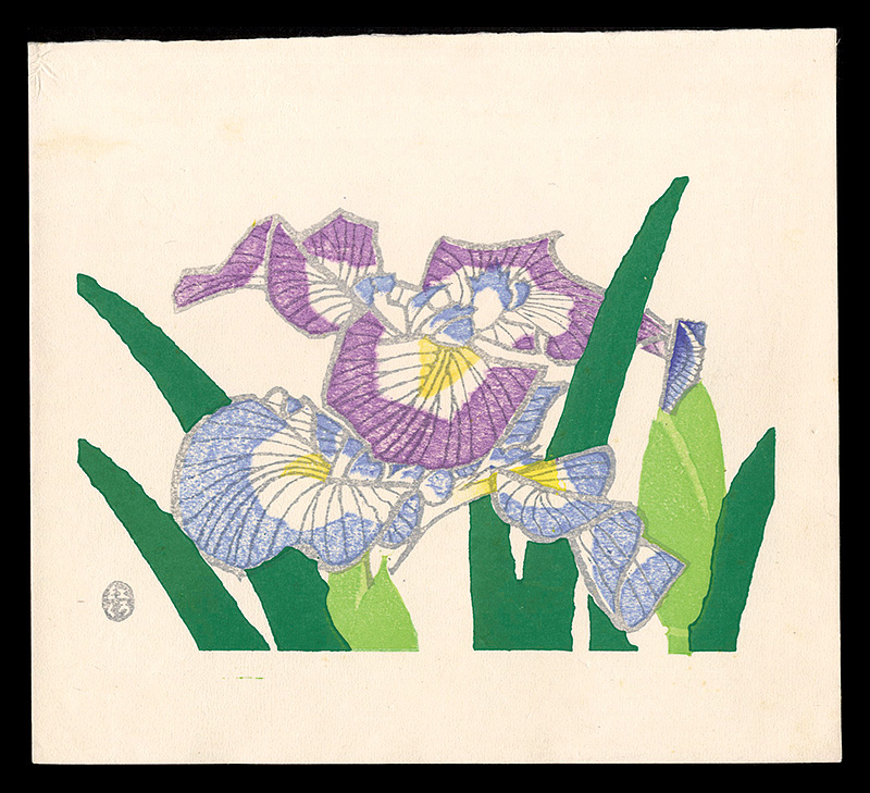 作者不詳「花菖蒲（仮題）」