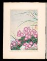 Japanese Alpine Plants / Primu......
