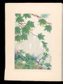 Japanese Alpine Plants / Miyam......