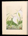 Japanese Alpine Plants / Asian......