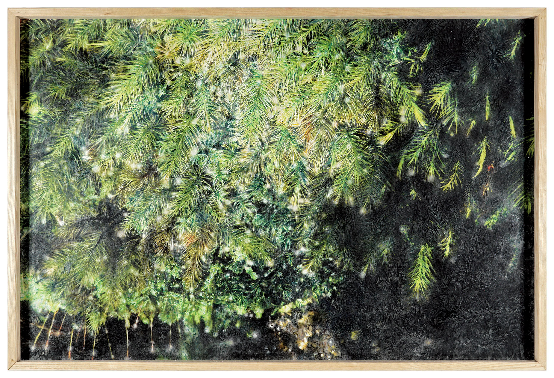 Tsutsumi Asuka “The Silent Drama-Yakushima #02”