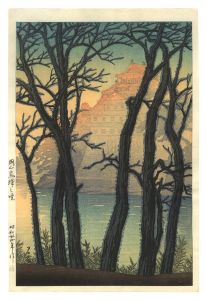 Dawn at Okayama Castle