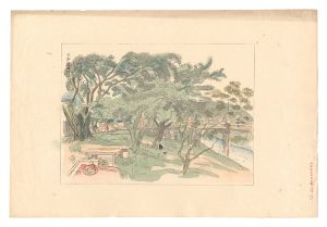 日本大観　（30） 大和龍田川