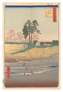 Hiroshige I / One Hundred Famous Views of Edo / Goten-yama, Shinagawa [名所江戸百景　品川御殿やま]