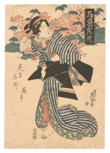Eisen / Matches for the Cherry Blossoms at Famous Places / Blossoms on Asuka Hill [見立名所桜尽　飛鳥山の花]