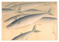 Fish of Japan / No. 4 of Volum......