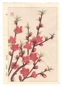 日本の花こよみ　モモ（桃）