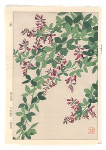 日本の花こよみ　ハギ（萩）