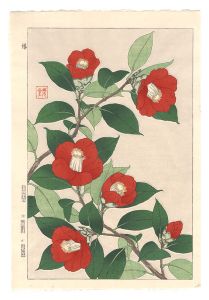 日本の花こよみ　ツバキ（椿）
