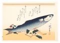 A Series of Fish Subjects / St......
