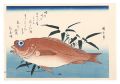 A Series of Fish Subjects / Go......
