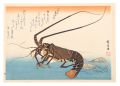 A Series of Fish Subjects / Lo......