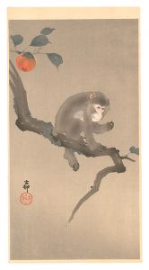 柿に猿　／　小原古邨（祥邨）