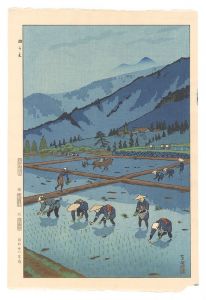 Rice Planting