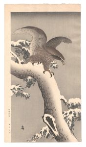 Ohara Koson(Shoson) / White-tailed Eagle on Snowy Pine Branch