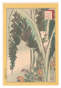 生写四十八鷹　四十四　白すゞめ 枯ばせを 寒ぎく　／　嵩岳堂