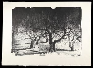 Misu Yuji / Title unknown