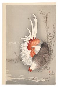 Rooster and Hen (tentative title) / Ohara Koson (Shoson)