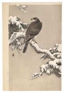 雪中の鷲（仮題）