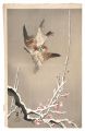 Sparrows and Snow-covered Plum......