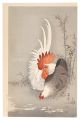 Rooster and Hen (tentative tit......