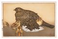 Grouse