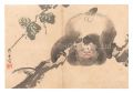 Monkey (tentative title)
