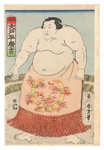 相撲絵　仙台 大戸平廣吉
