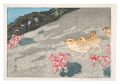 Twelve Scenes in the Japan Alp......