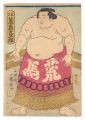 Sumo-e: Arauma Daigoro from To......