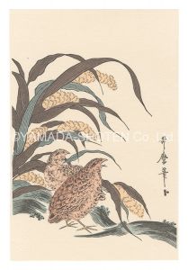Utamaro / Quail and Millet【Reproduction】 [粟と鶉【復刻版】]
