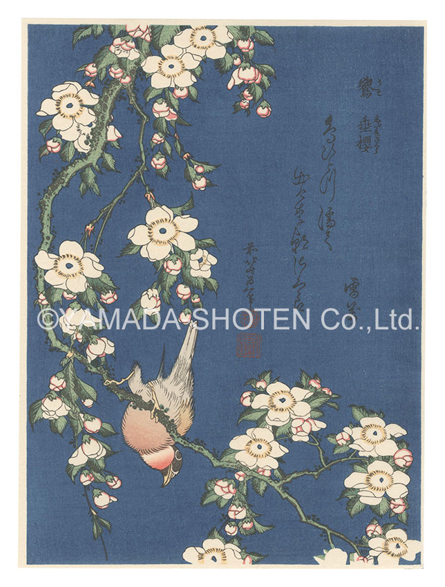 北斎「鷽 垂桜【復刻版】」