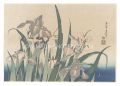 Irises and Grasshopper【Reprodu......