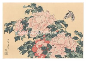 北斎「牡丹と蝶【復刻版】」