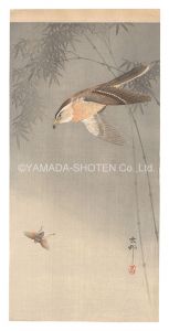 小原古邨（祥邨）「虫を狙う鳥（仮題）」