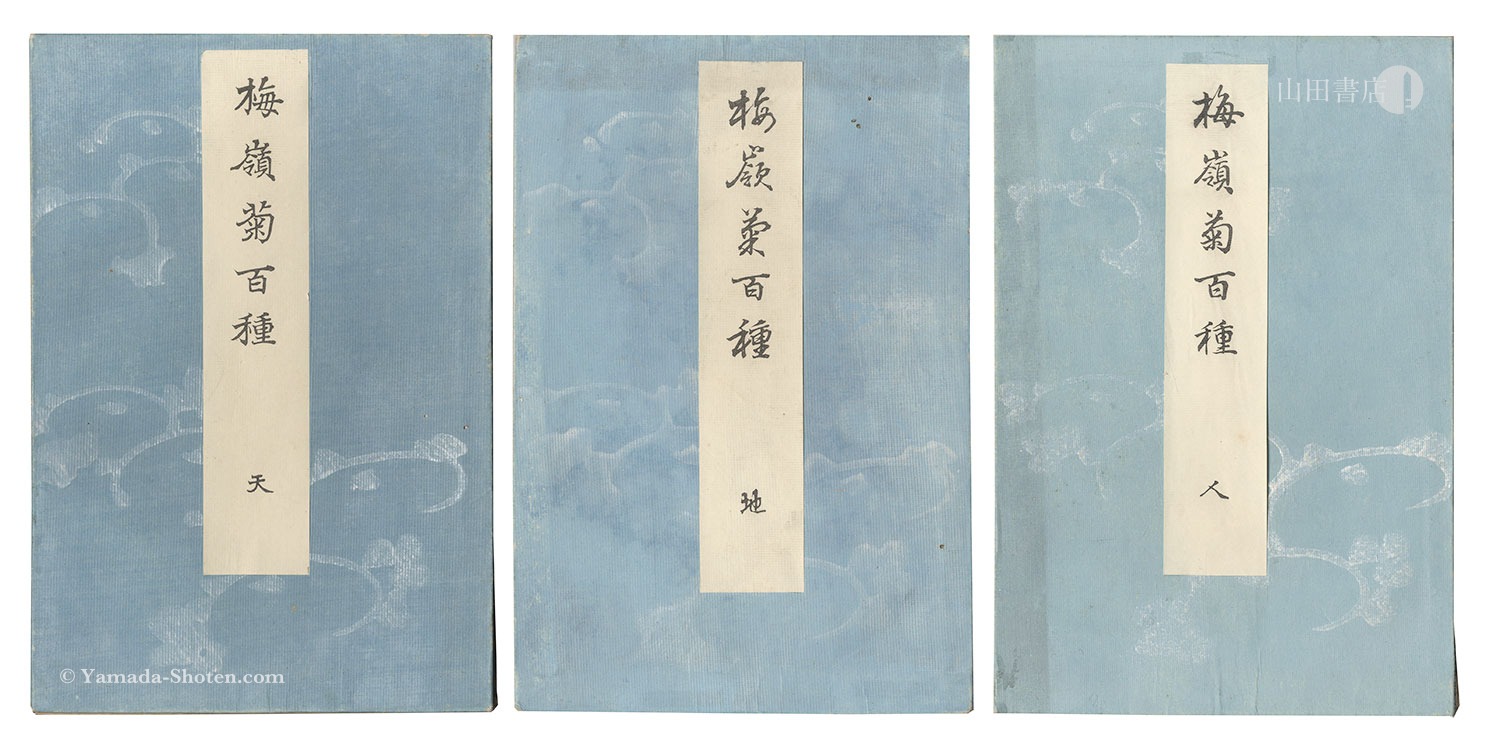 楳嶺「楳嶺菊百種」