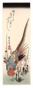 わらびと金鶏鳥【復刻版】　／　広重初代